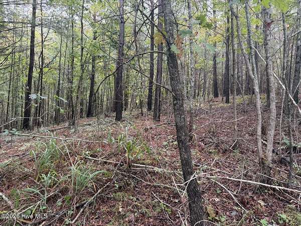 1.49 Acres of Residential Land for Sale in Murphy, North Carolina