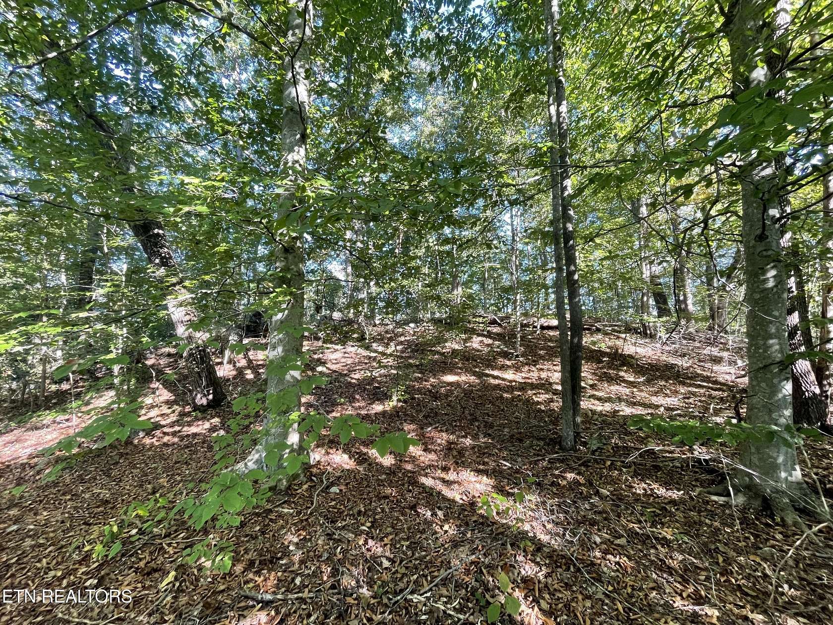 3.57 Acres of Land for Sale in Newcomb, Tennessee