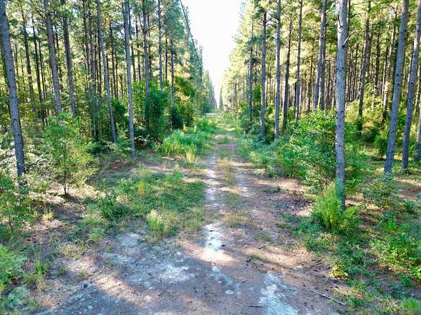 24.3 Acres of Recreational Land for Sale in Williston, South Carolina