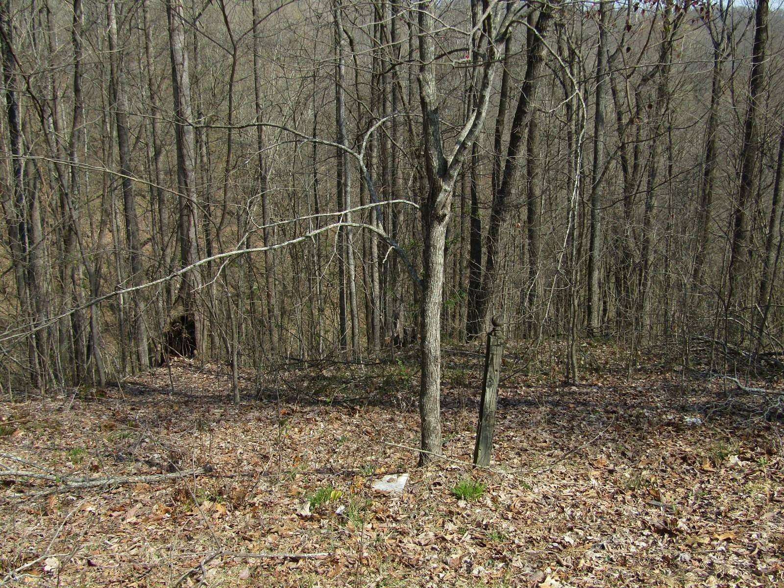 4.7 Acres of Residential Land for Sale in Smithville, Tennessee