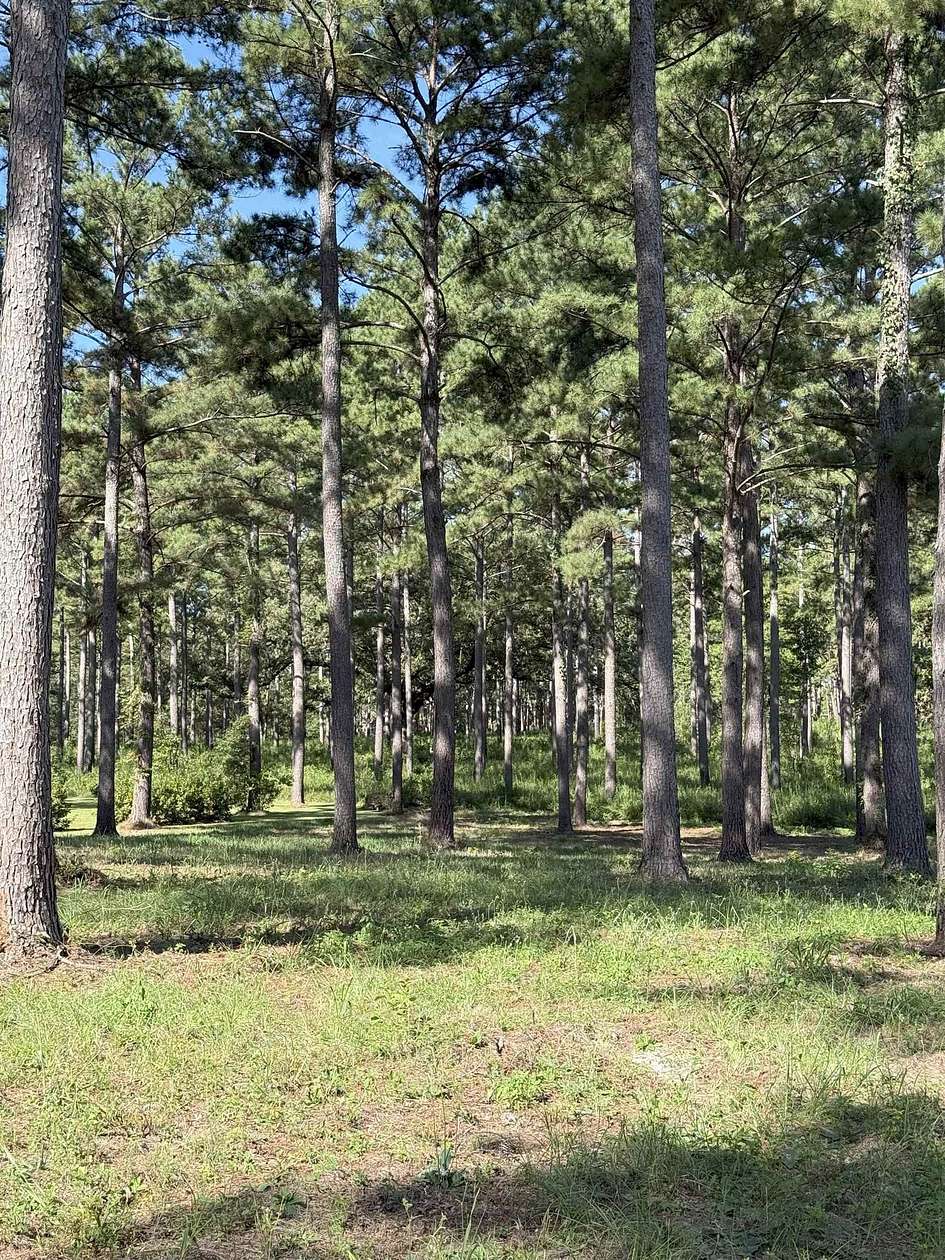 1.27 Acres of Land for Sale in Tallahassee, Florida