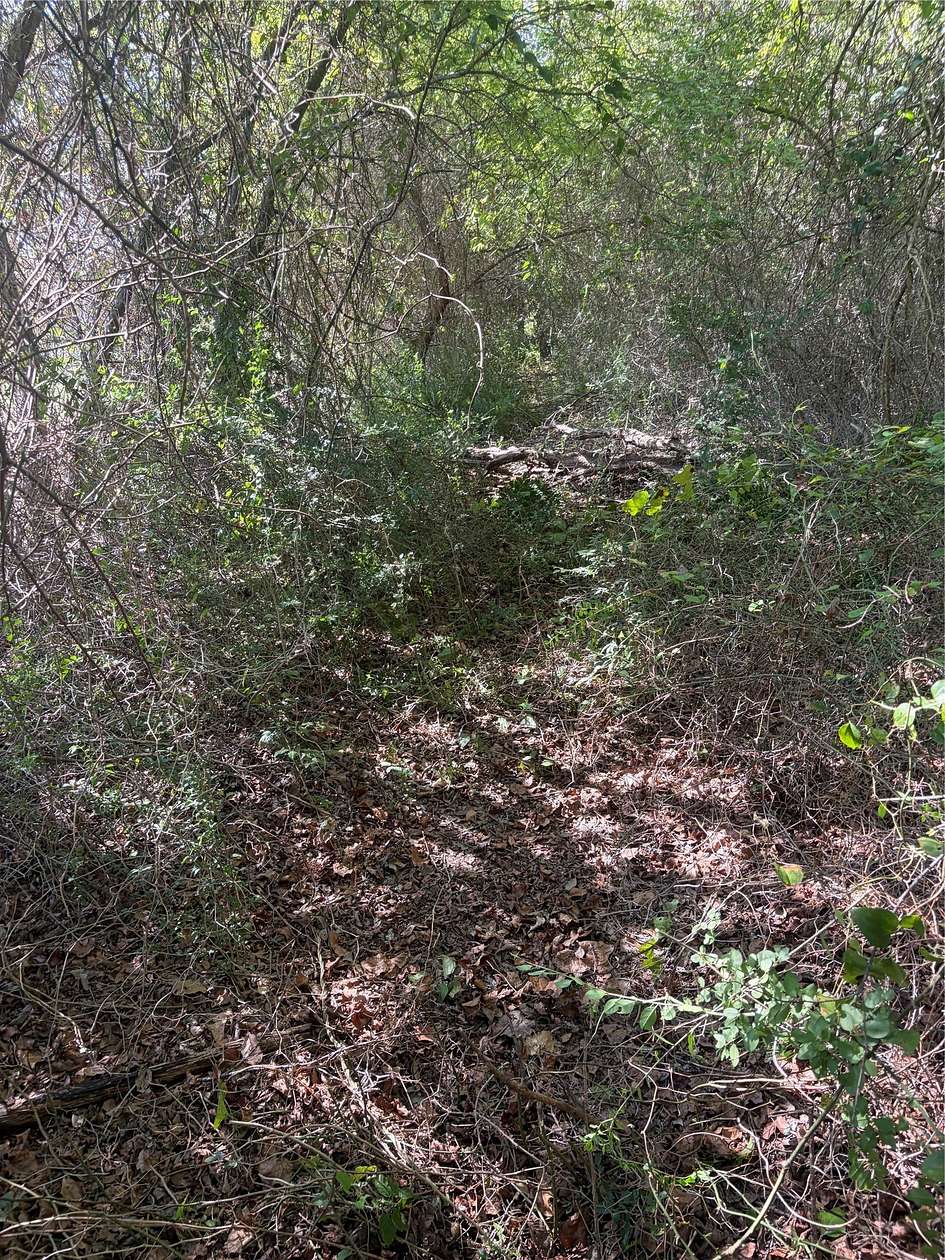 0.35 Acres of Residential Land for Sale in Bullard, Texas