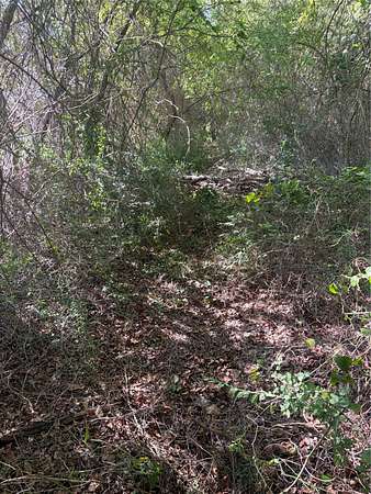 0.35 Acres of Residential Land for Sale in Bullard, Texas