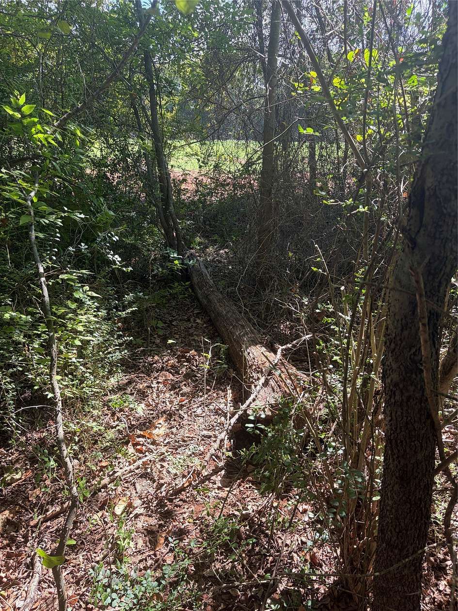 0.35 Acres of Residential Land for Sale in Bullard, Texas