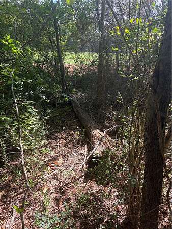 0.35 Acres of Residential Land for Sale in Bullard, Texas