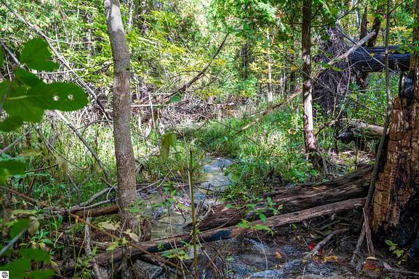 18 Acres of Recreational Land for Sale in Grawn, Michigan
