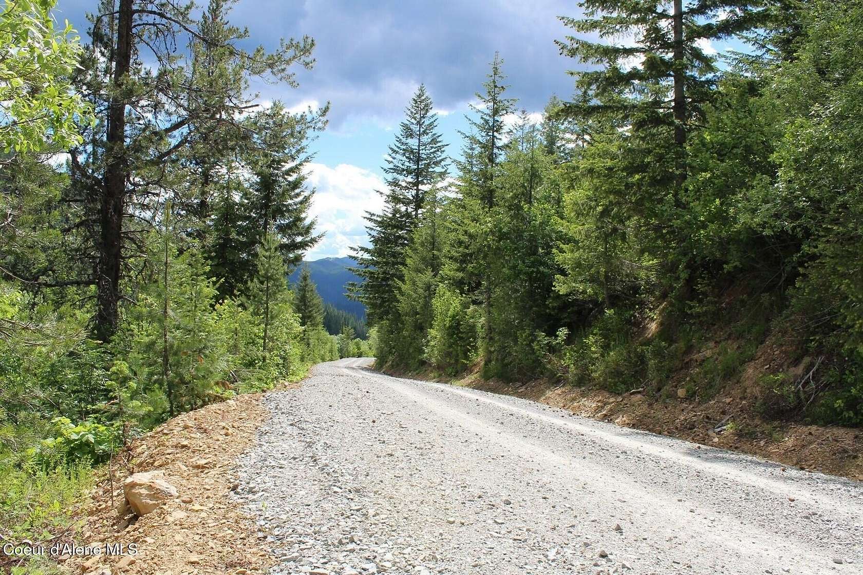 19.9 Acres of Recreational Land for Sale in Mullan, Idaho