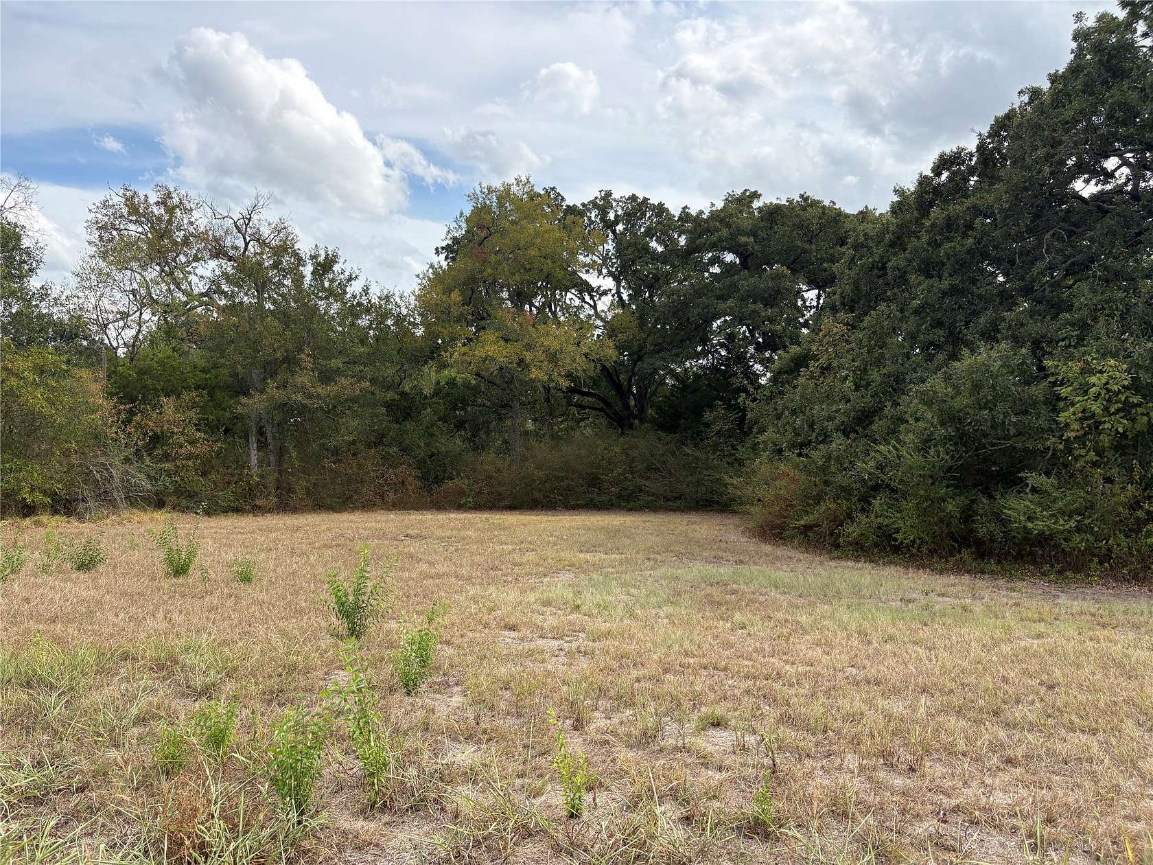 0.7 Acres of Residential Land for Sale in Commerce, Texas
