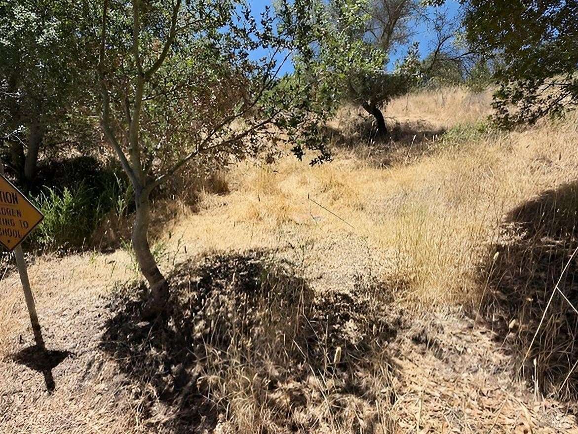 0.25 Acres of Residential Land for Auction in San Rafael, California