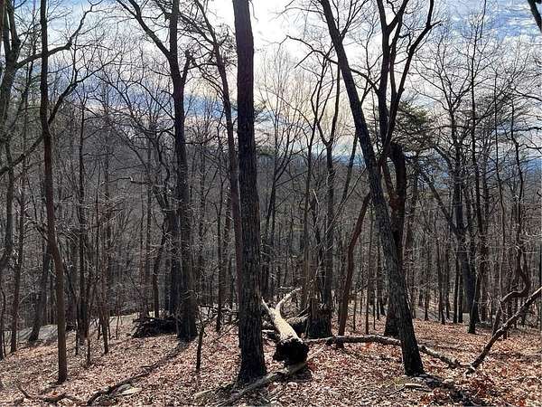 1.22 Acres of Land for Sale in Jasper, Georgia