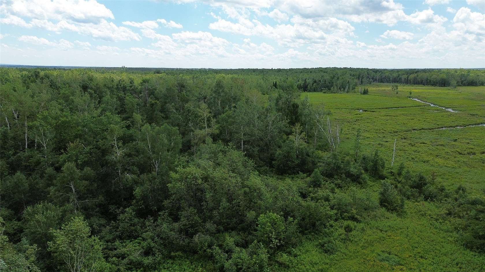 40 Acres of Land for Sale in Bruce, Wisconsin