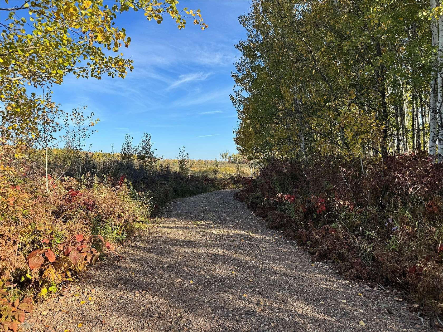 40 Acres of Land for Sale in Bruce, Wisconsin