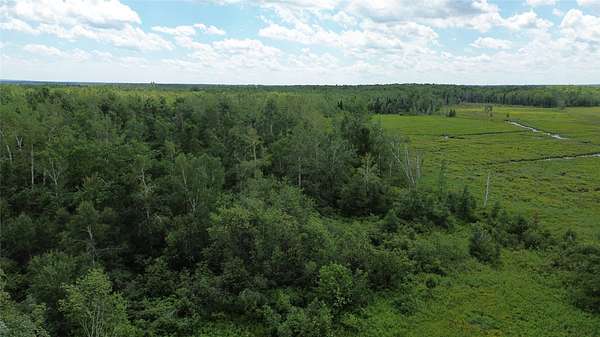 40 Acres of Land for Sale in Bruce, Wisconsin
