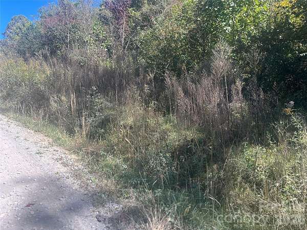 2.8 Acres of Residential Land for Sale in Clyde, North Carolina