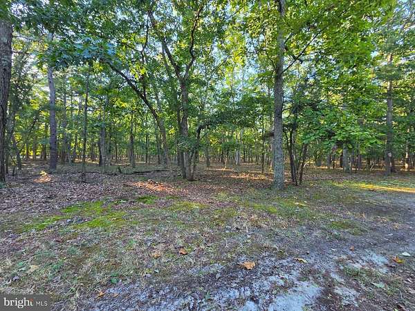 Land for Sale in Tabernacle, New Jersey