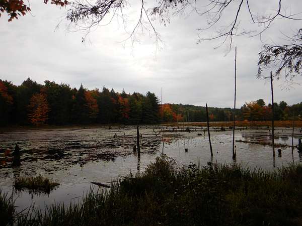 555 Acres of Recreational & Residential Land for Sale in Windsor, New York
