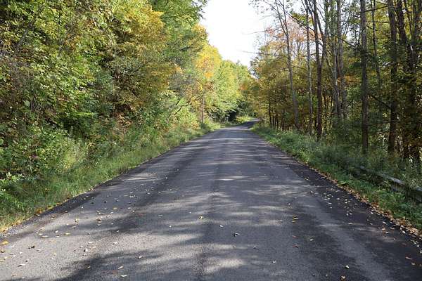 82.3 Acres of Recreational Land for Sale in Windsor, New York