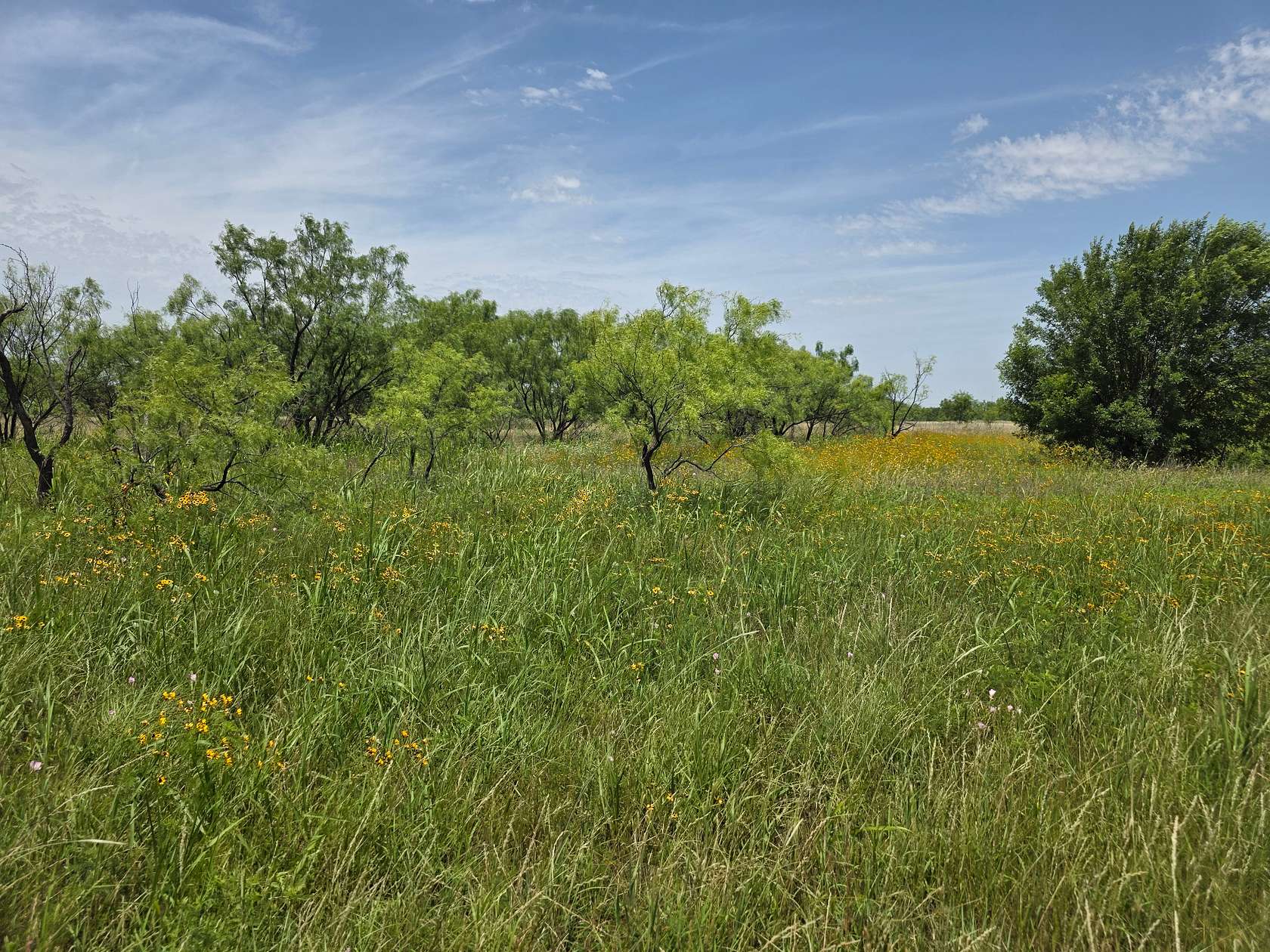 33.4 Acres of Recreational & Residential Land for Sale in Abilene, Texas