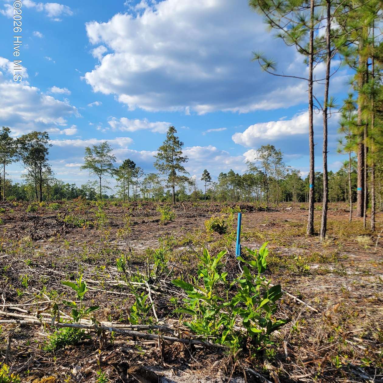 6.62 Acres of Residential Land for Sale in Ivanhoe, North Carolina