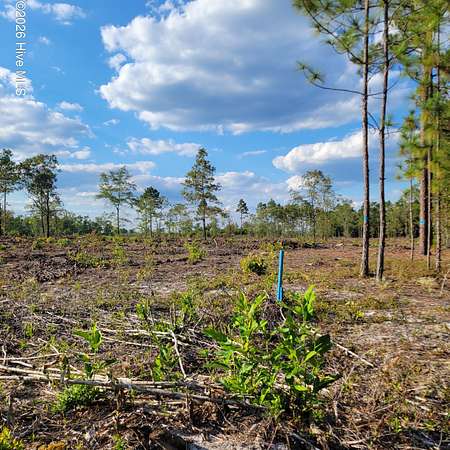 6.62 Acres of Residential Land for Sale in Ivanhoe, North Carolina