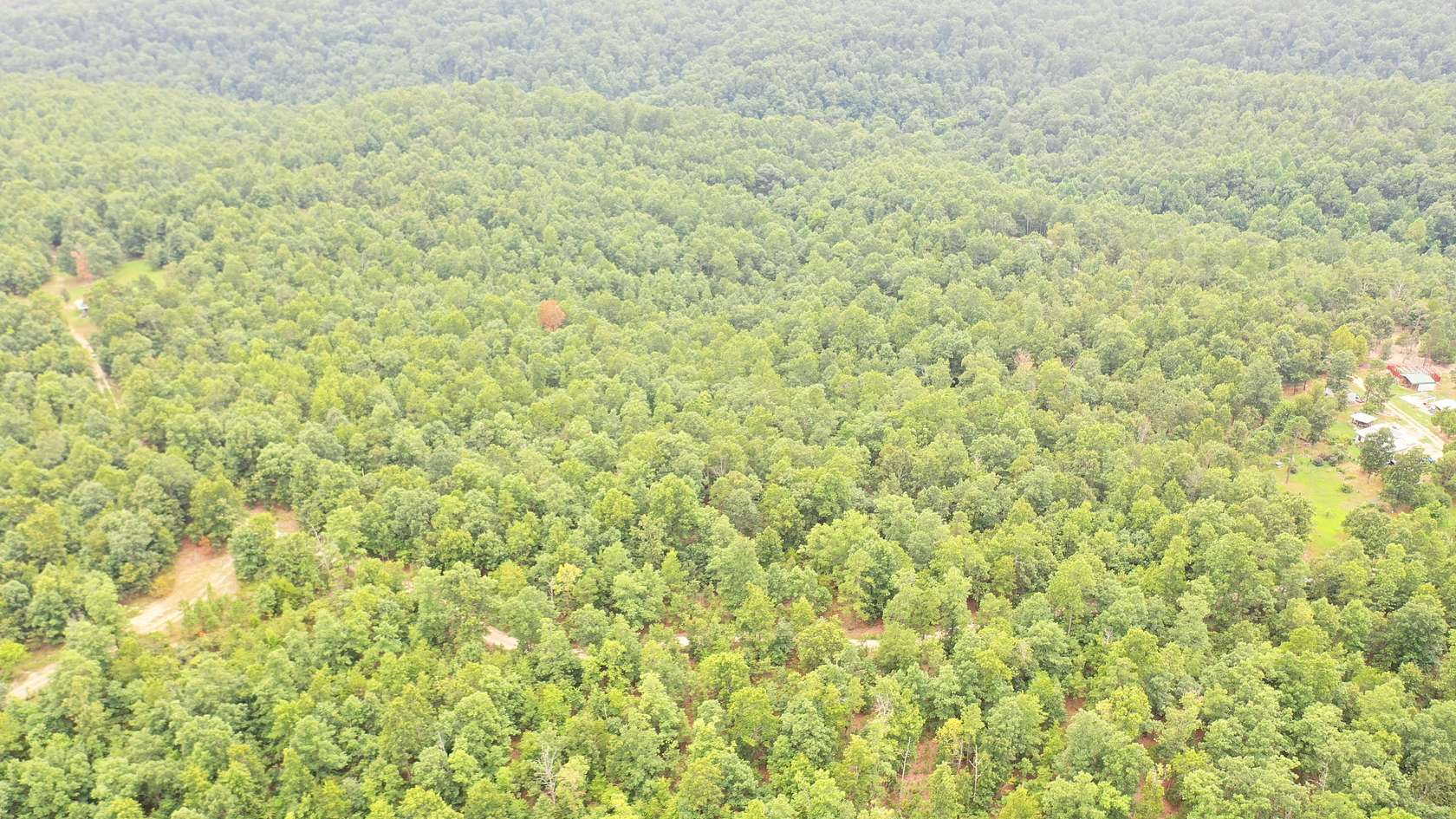 20 Acres of Land for Sale in Salem, Missouri