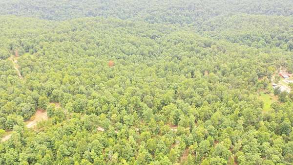 20 Acres of Land for Sale in Salem, Missouri