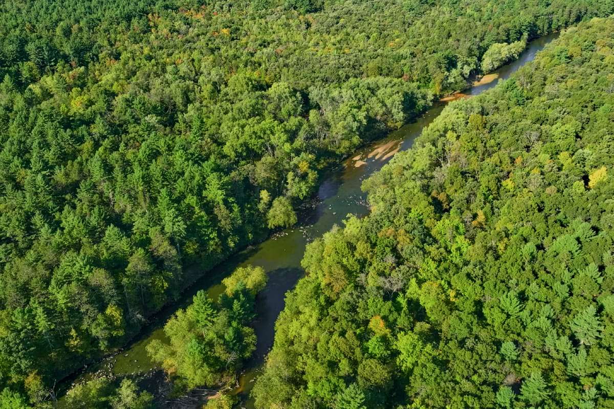 200 Acres of Land for Sale in Augusta, Wisconsin