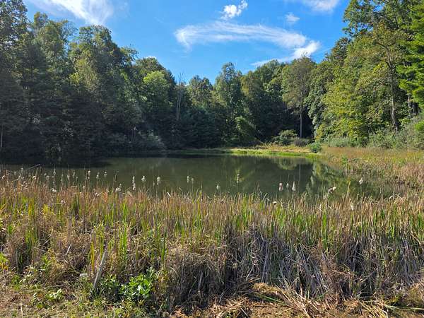 25.2 Acres of Land for Auction in Willis, Virginia