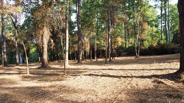 1.13 Acres of Mixed-Use Land for Sale in Tyler, Texas