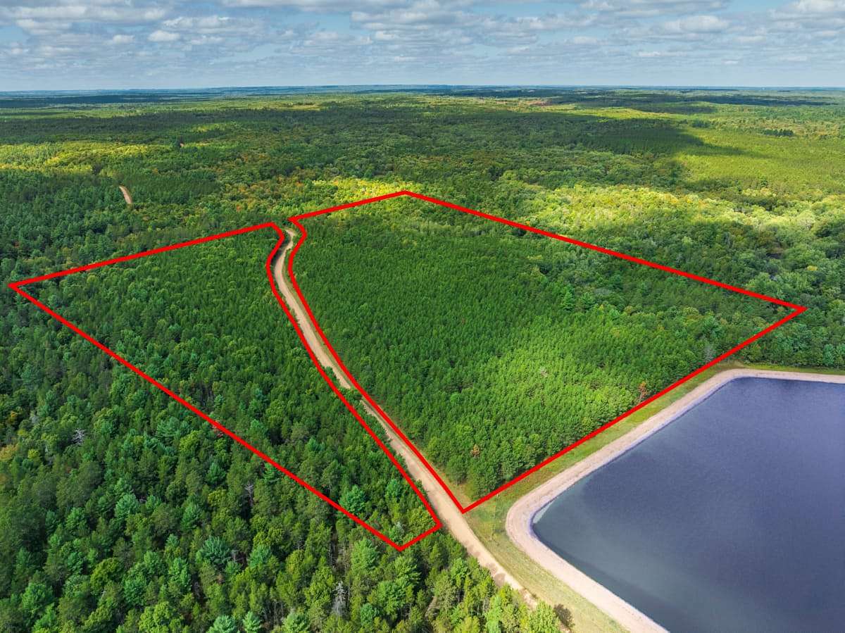 40 Acres of Land for Sale in Augusta, Wisconsin
