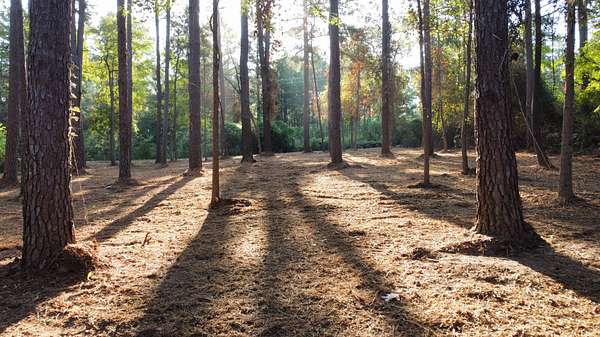 1.13 Acres of Mixed-Use Land for Sale in Tyler, Texas