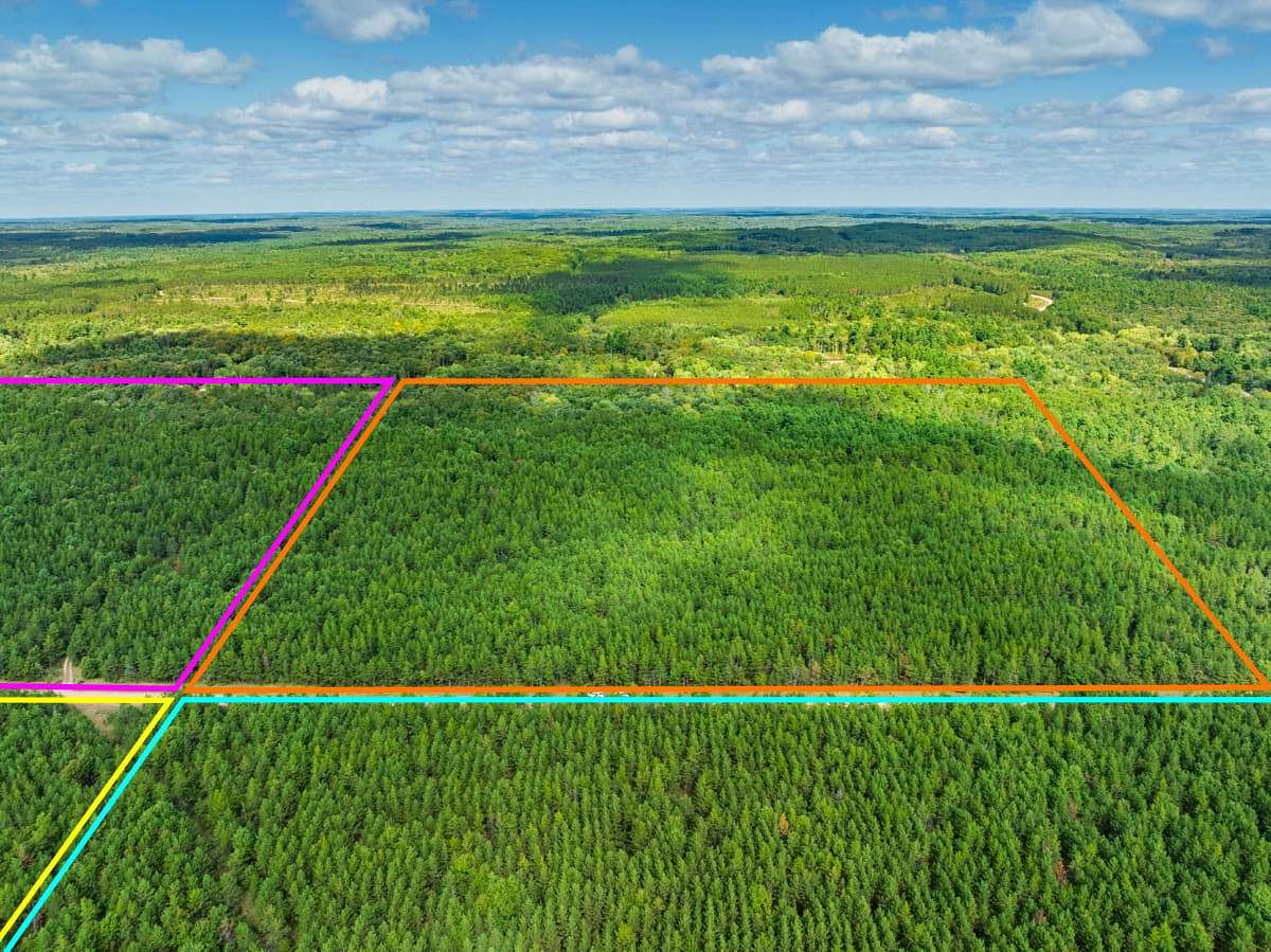 44 Acres of Land for Sale in Augusta, Wisconsin