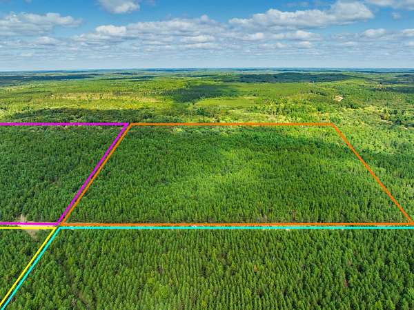 44 Acres of Land for Sale in Augusta, Wisconsin