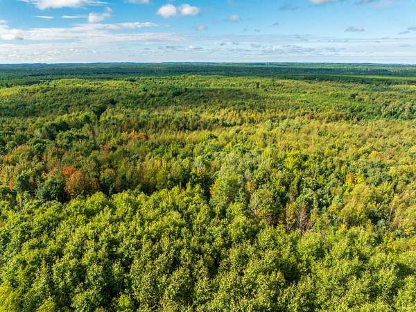 205 Acres of Land for Sale in Augusta, Wisconsin