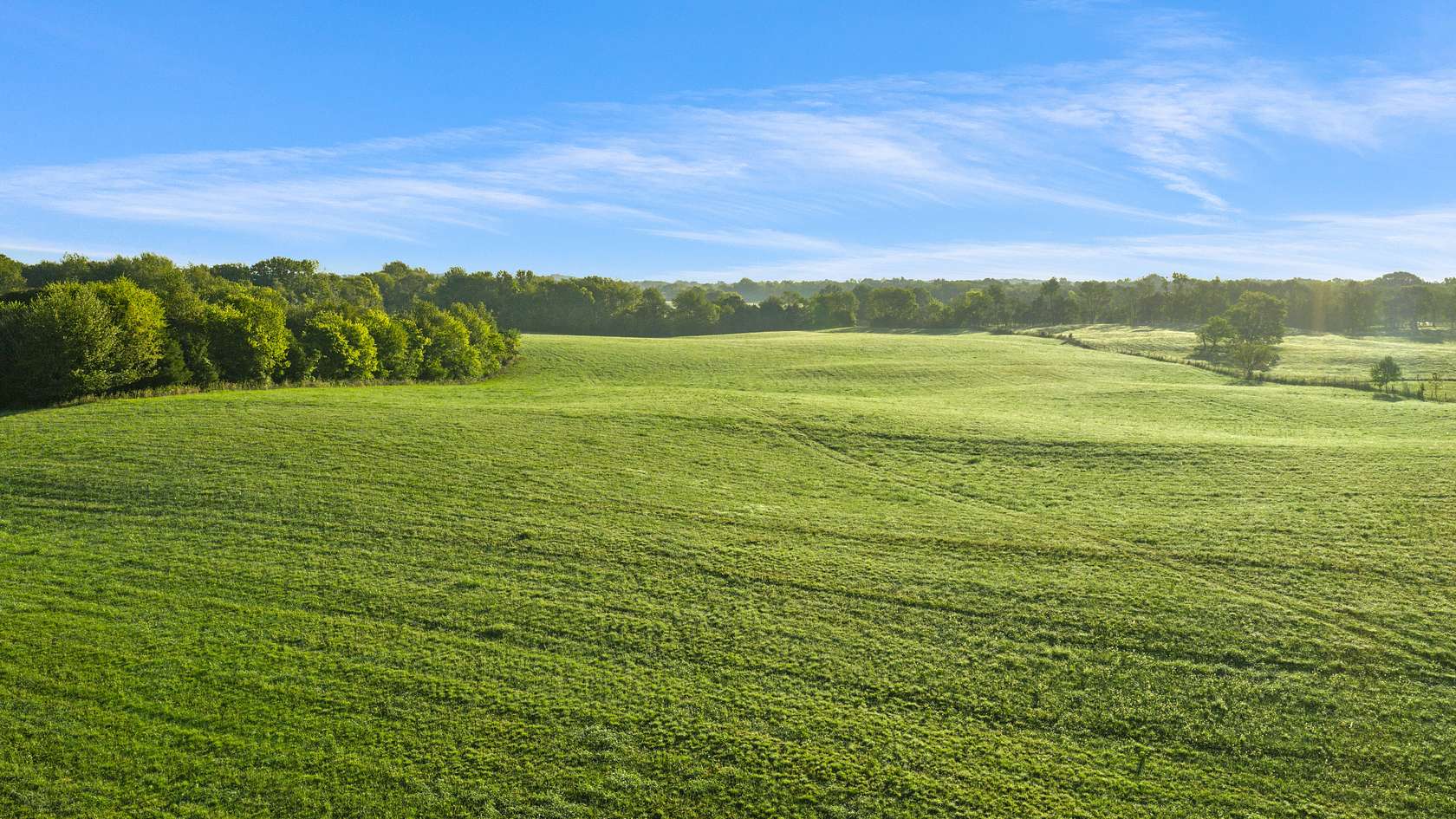120 Acres of Land for Auction in Smiths Grove, Kentucky