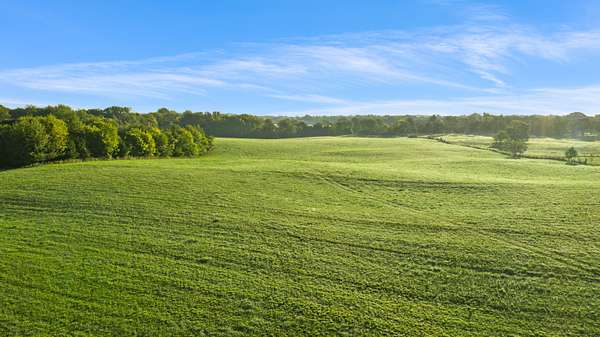 120 Acres of Land for Auction in Smiths Grove, Kentucky