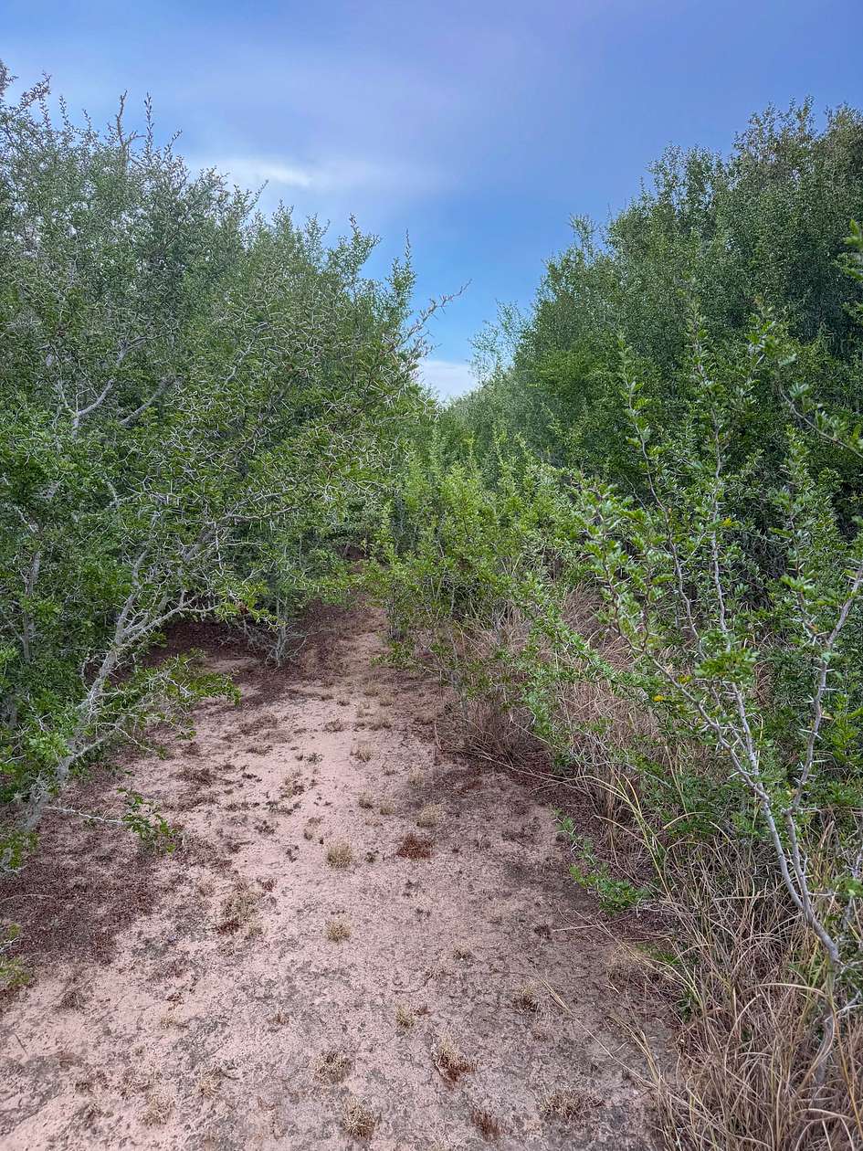 11 Acres of Land for Sale in George West, Texas
