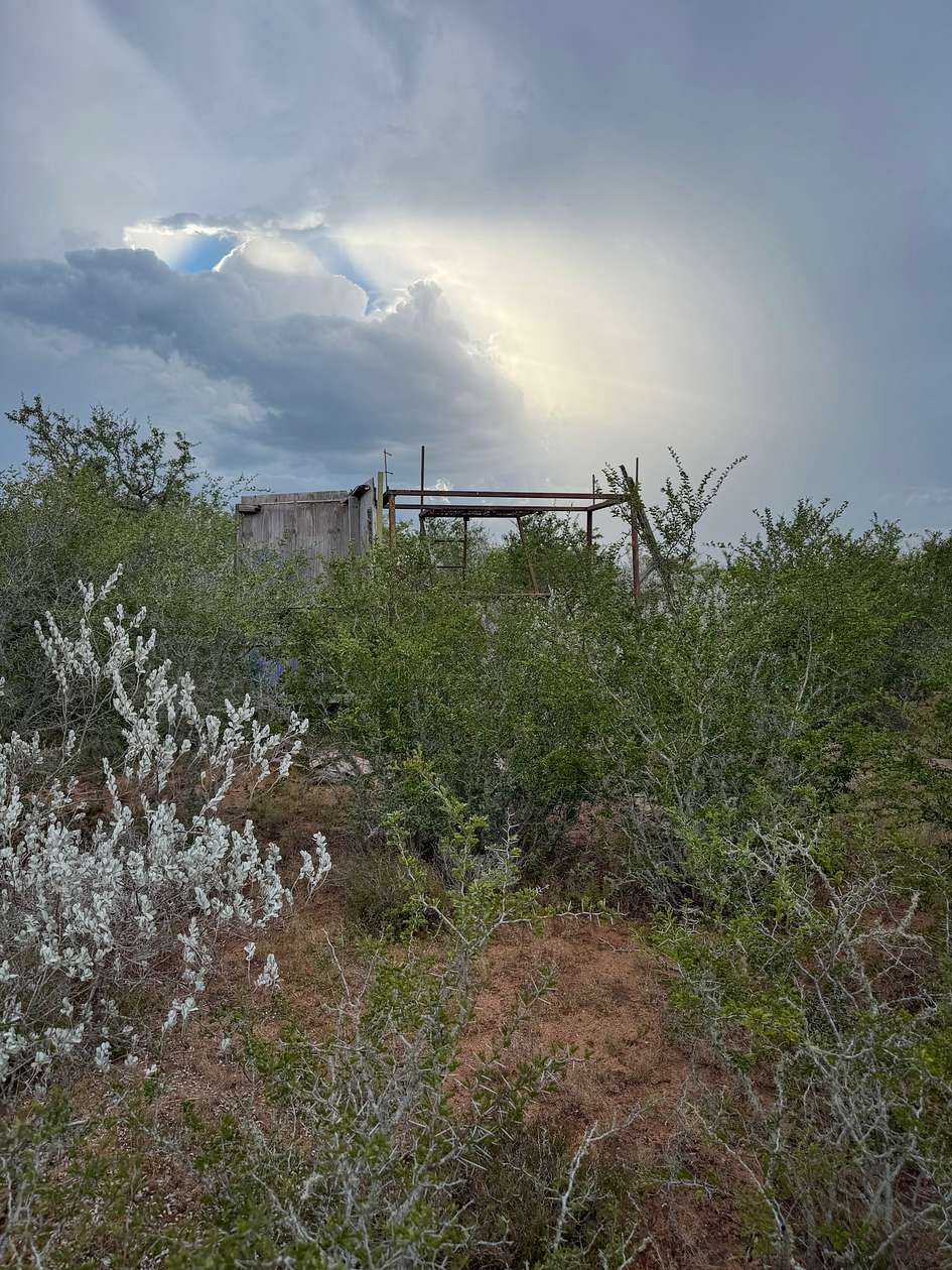 11.9 Acres of Land for Sale in George West, Texas