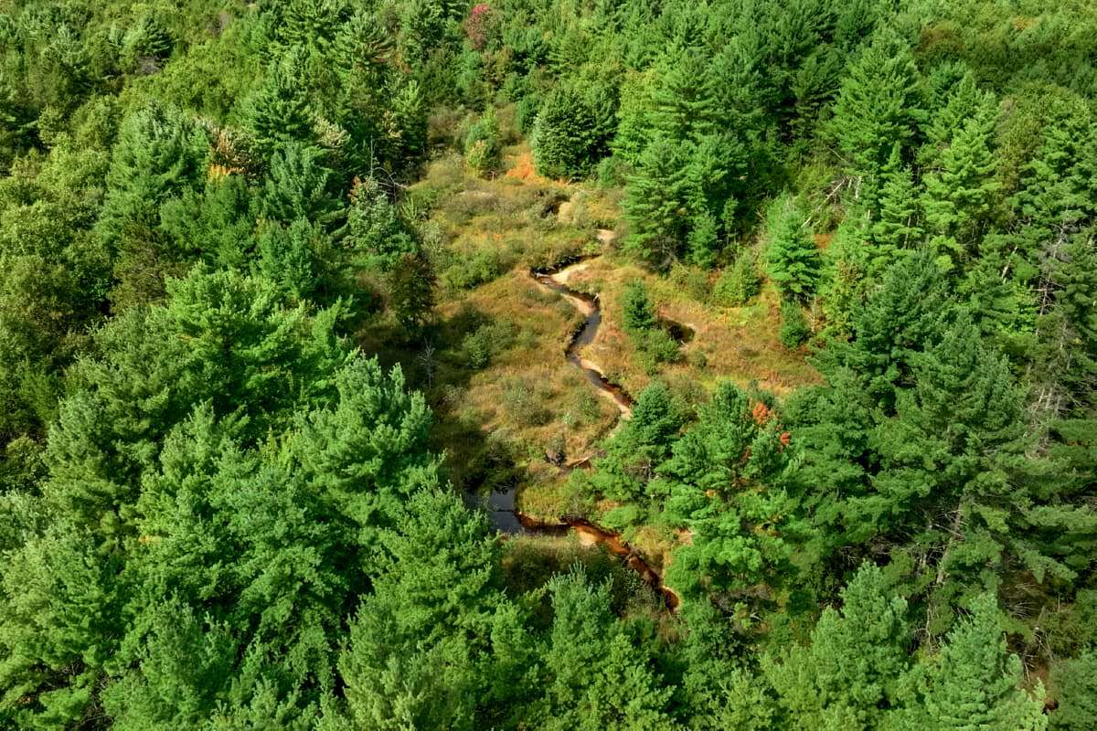 160 Acres of Land for Sale in Augusta, Wisconsin