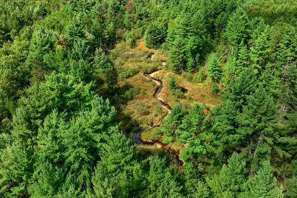 160 Acres of Land for Sale in Augusta, Wisconsin