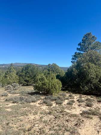 28.8 Acres of Land for Sale in Tierra Amarilla, New Mexico