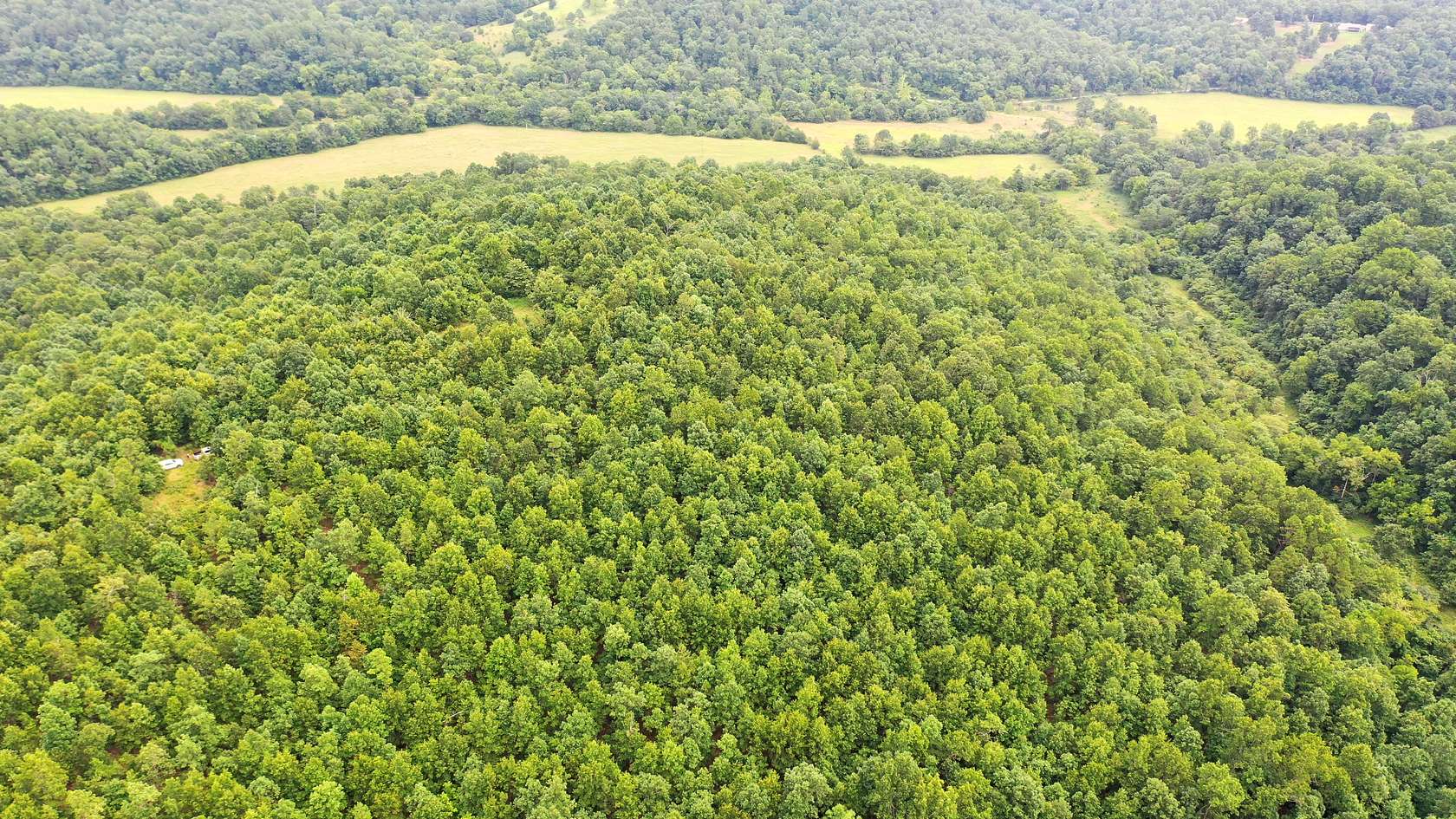 20 Acres of Land for Sale in Salem, Missouri