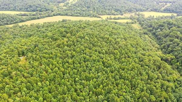 20 Acres of Land for Sale in Salem, Missouri
