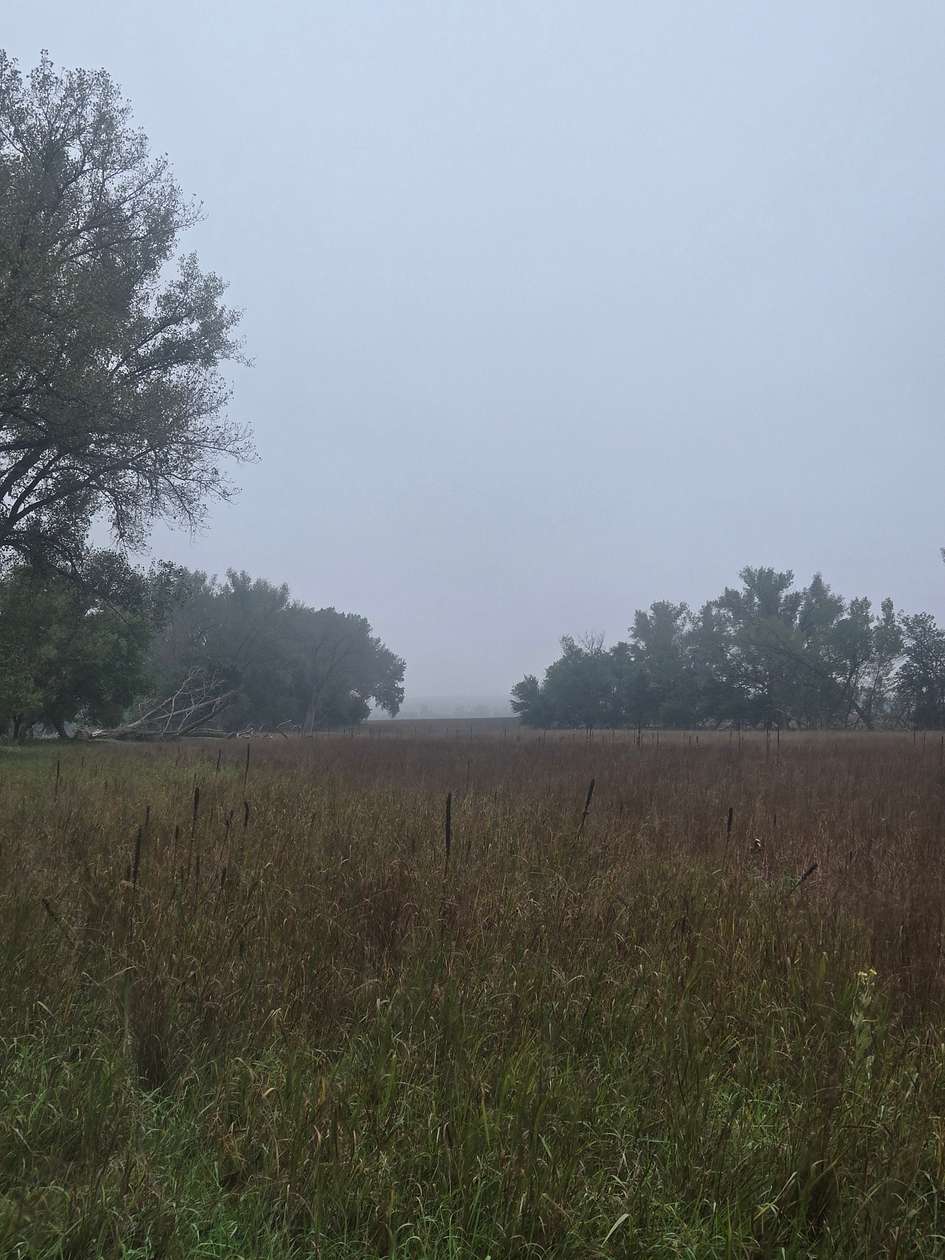 77.5 Acres of Land for Sale in Edison, Nebraska