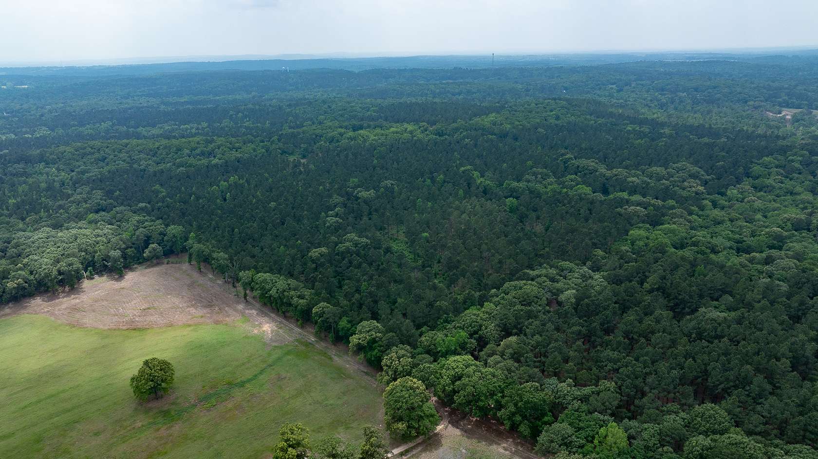 470 Acres of Land for Sale in Ben Wheeler, Texas