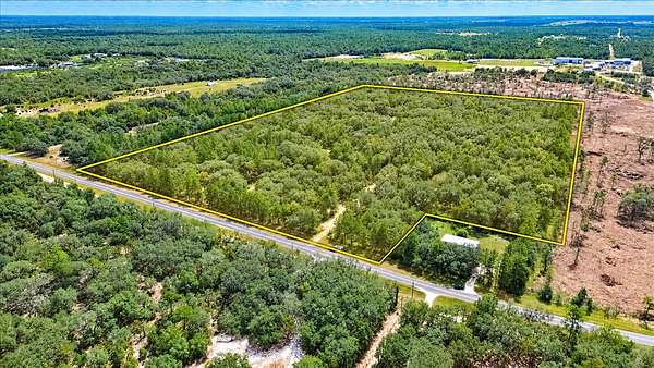 32.8 Acres of Land for Sale in Bronson, Florida