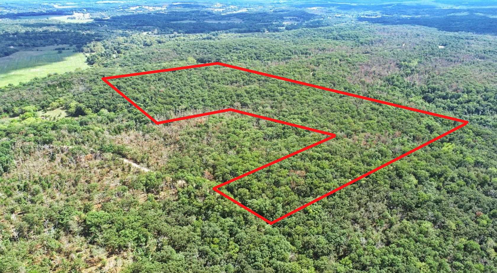 66 Acres of Land for Sale in Collins, Missouri