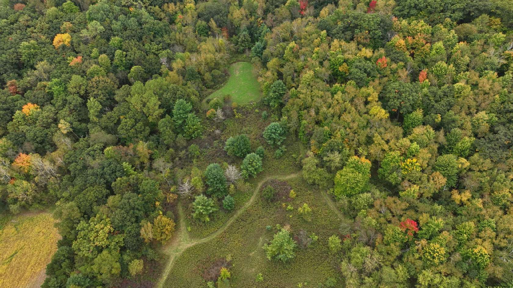 37.6 Acres of Land for Sale in Curran Town, Wisconsin