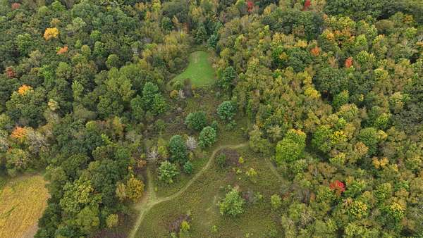 37.6 Acres of Land for Sale in Curran Town, Wisconsin
