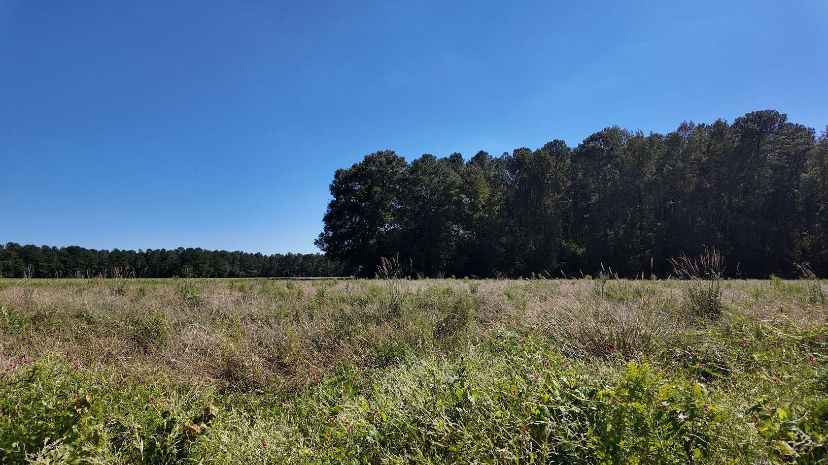 6.46 Acres of Land for Sale in Wallace, North Carolina